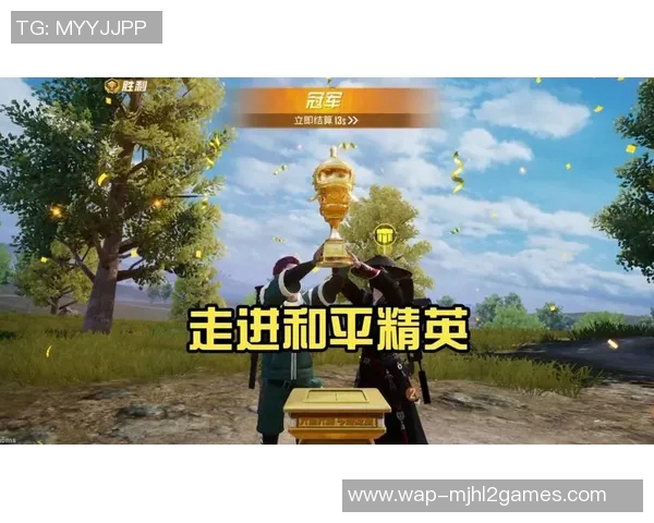 专访李敏揭秘和平精英成功背后的策略与创新之路